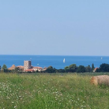 Apartments Henc Novigrad Istria Exteriör bild