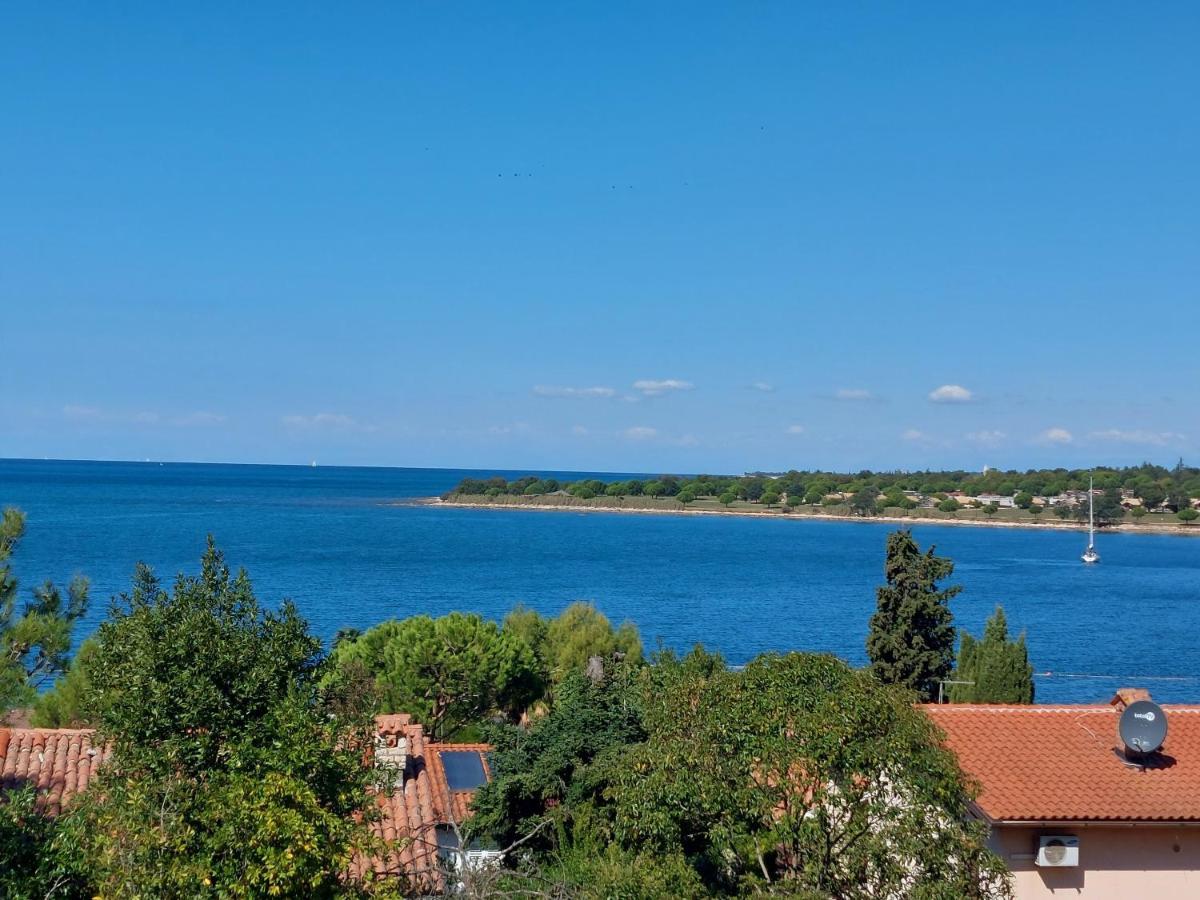 Apartments Henc Novigrad Istria Exteriör bild