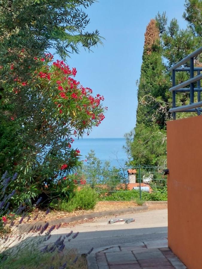 Apartments Henc Novigrad Istria Exteriör bild