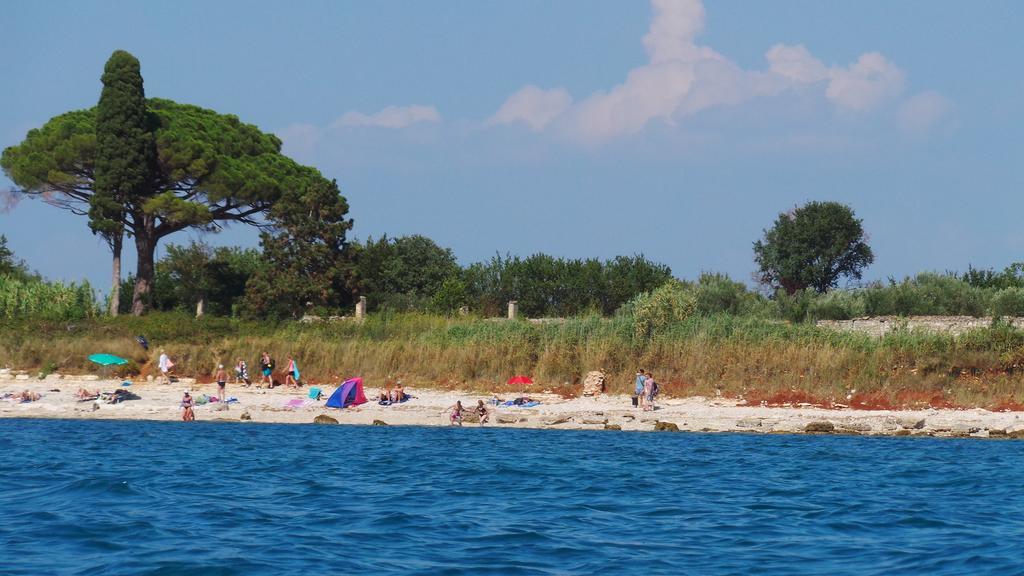 Apartments Henc Novigrad Istria Rum bild