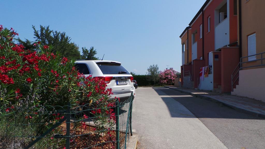 Apartments Henc Novigrad Istria Exteriör bild