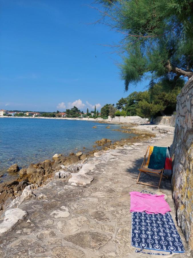Apartments Henc Novigrad Istria Exteriör bild