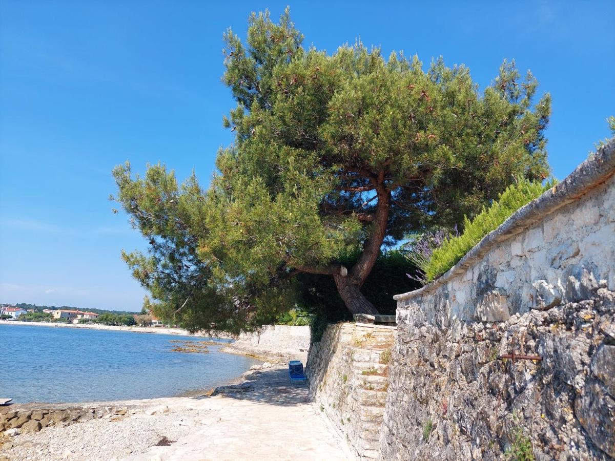 Apartments Henc Novigrad Istria Exteriör bild