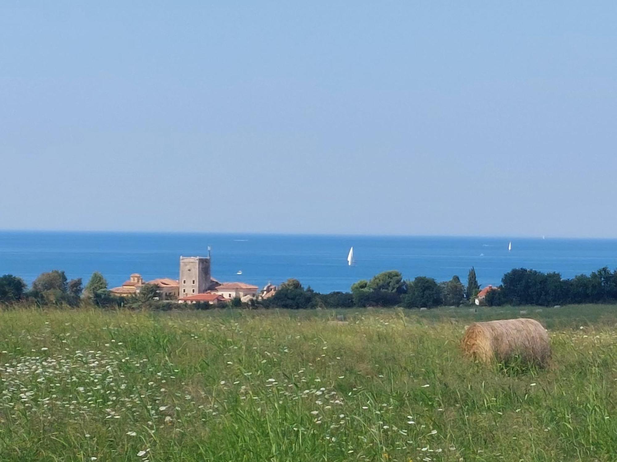 Apartments Henc Novigrad Istria Exteriör bild