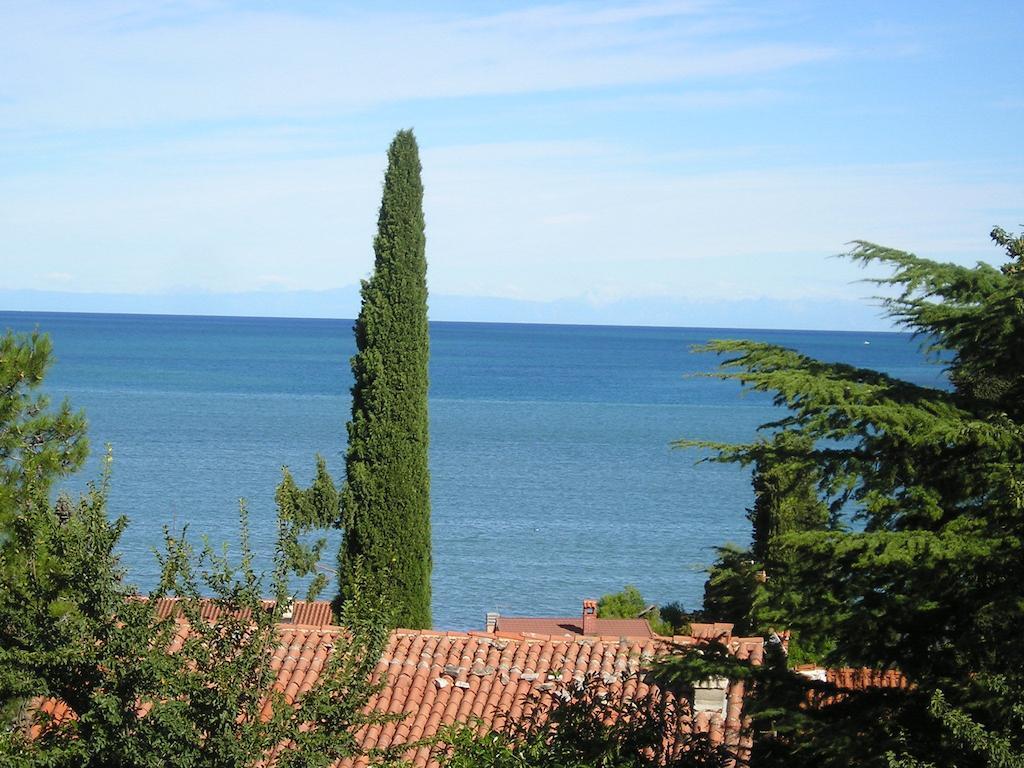 Apartments Henc Novigrad Istria Rum bild